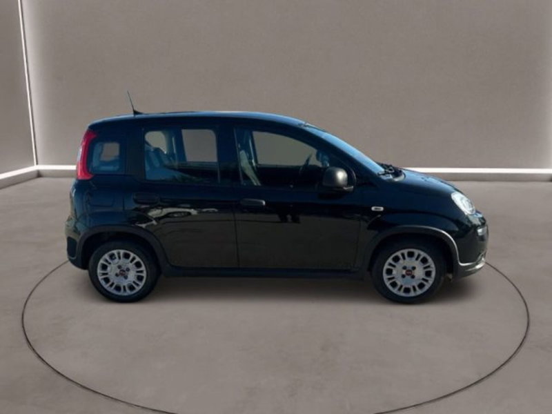 Fiat Panda usata a Caltanissetta (7)