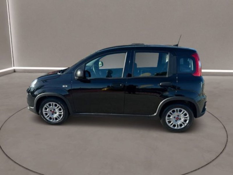 Fiat Panda usata a Caltanissetta (8)