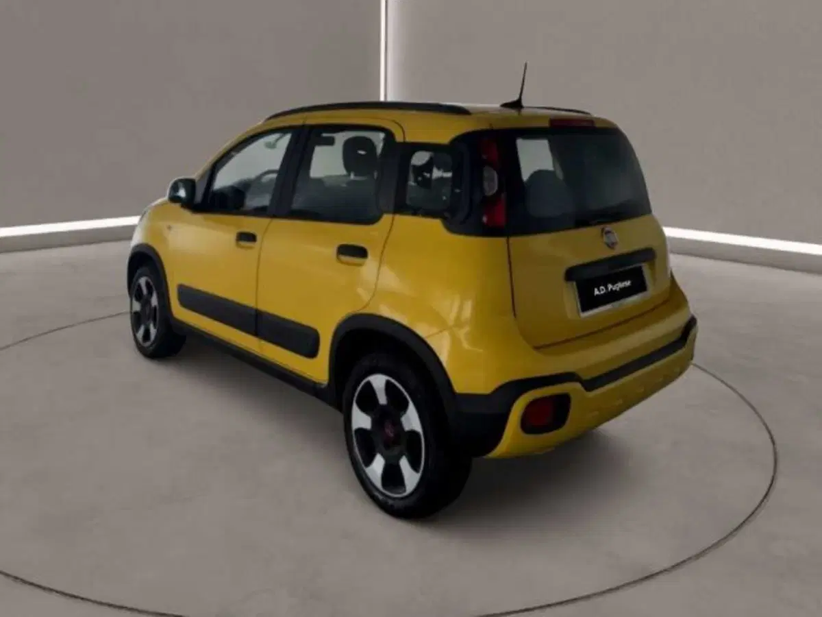 Fiat Panda Cross usata a Caltanissetta (2)