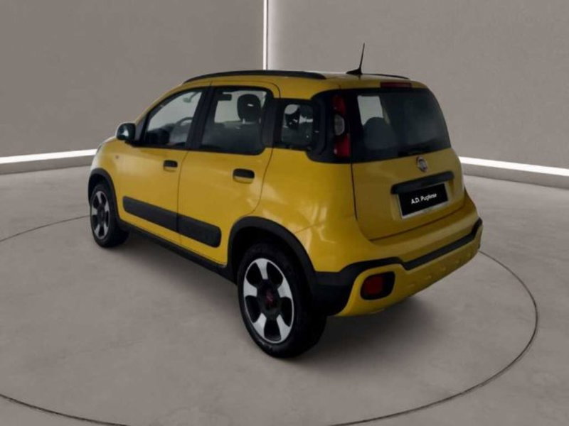 Fiat Panda Cross usata a Caltanissetta (2)