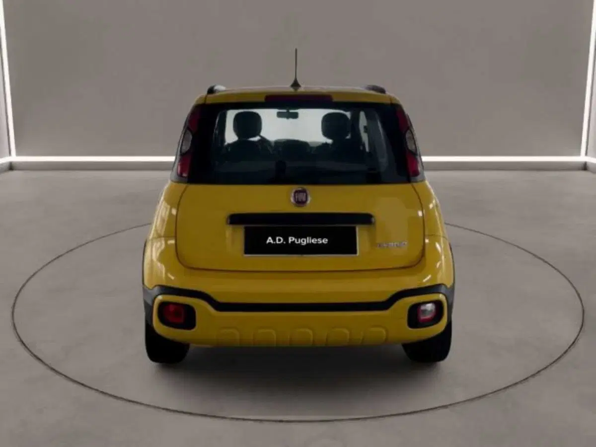 Fiat Panda Cross usata a Caltanissetta (3)