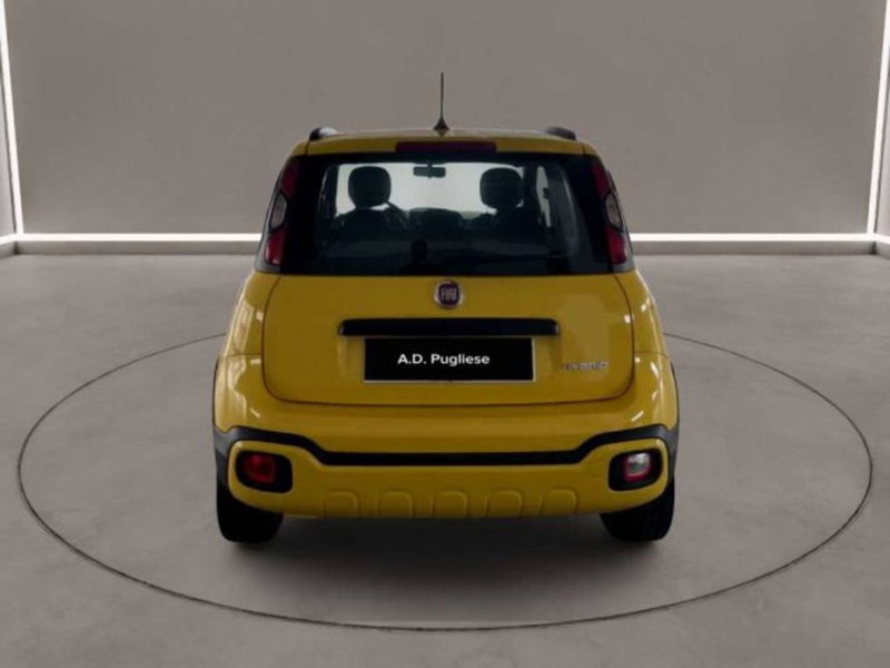 Fiat Panda Cross usata a Caltanissetta (3)