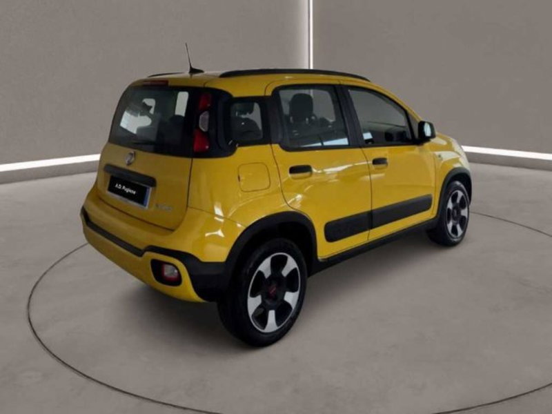 Fiat Panda Cross usata a Caltanissetta (4)