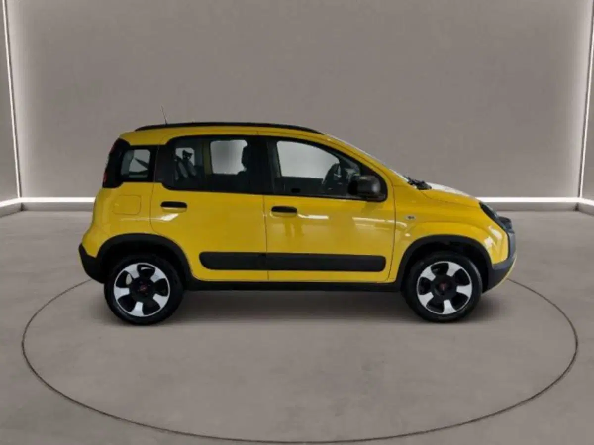 Fiat Panda Cross usata a Caltanissetta (5)