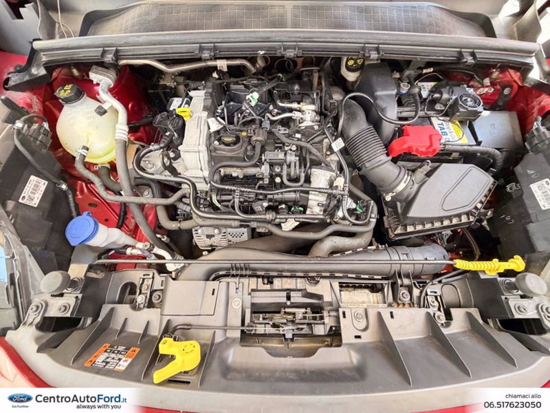 Ford Puma usata a Roma (12)