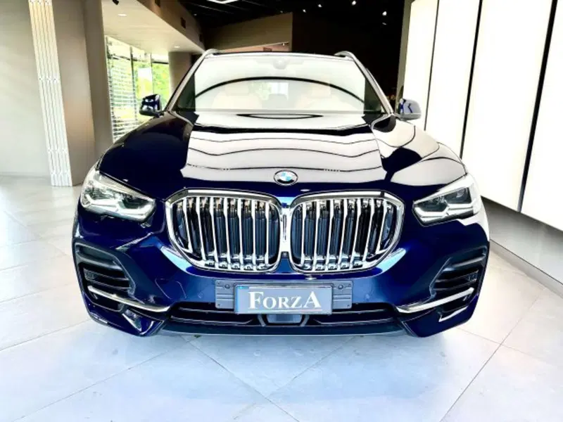 BMW X5 usata a Torino (2)