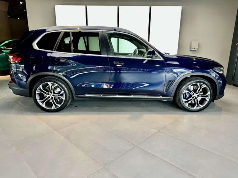 BMW X5 usata a Torino (5)