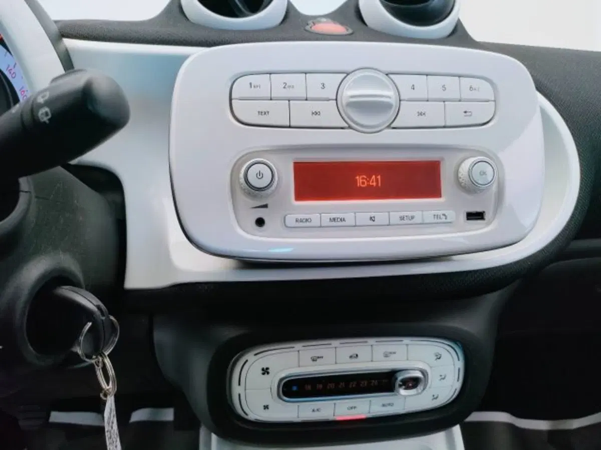 smart forfour usata a Teramo (11)
