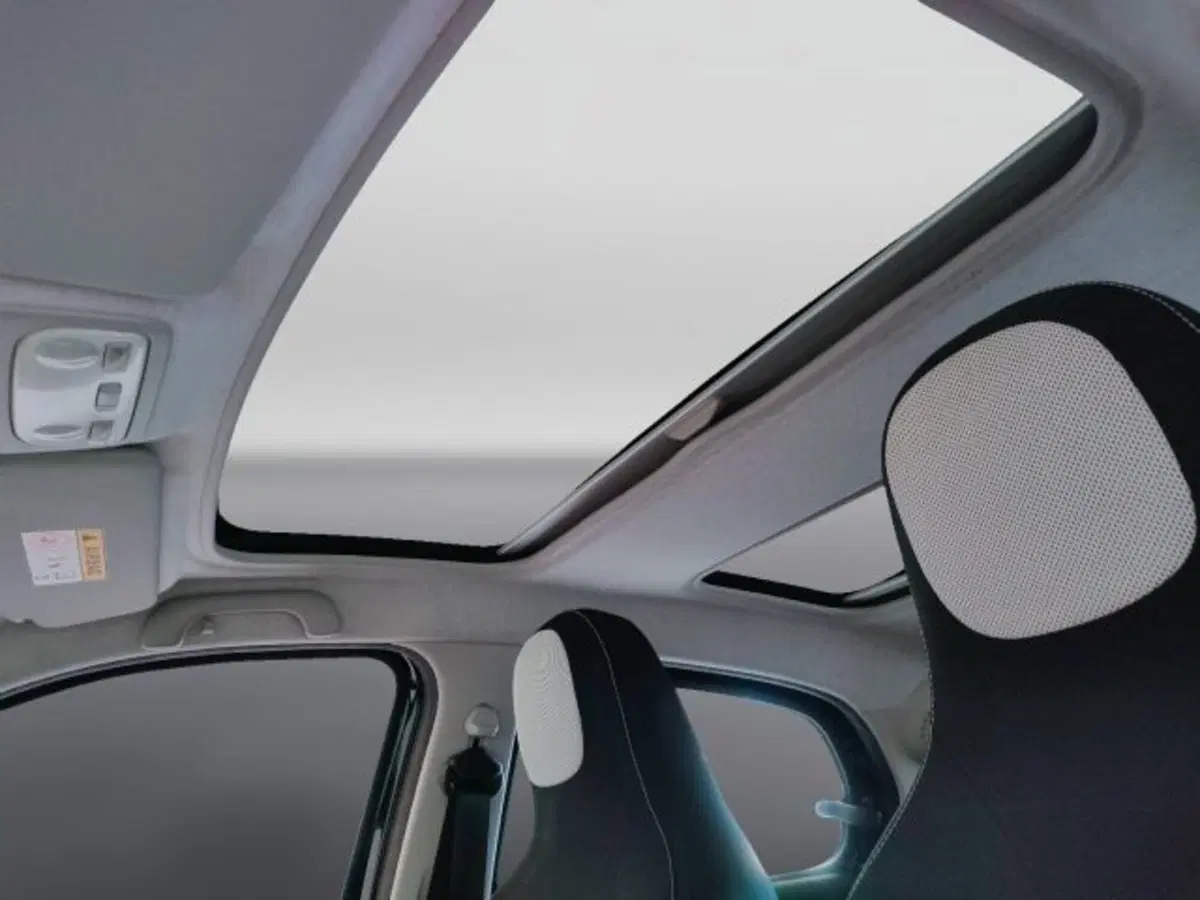 smart forfour usata a Teramo (15)