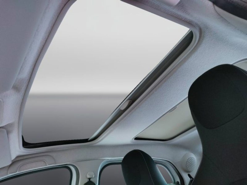 smart forfour usata a Teramo (17)