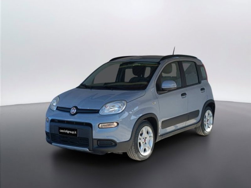 Fiat Panda usata a Teramo