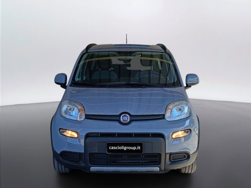 Fiat Panda usata a Teramo (2)