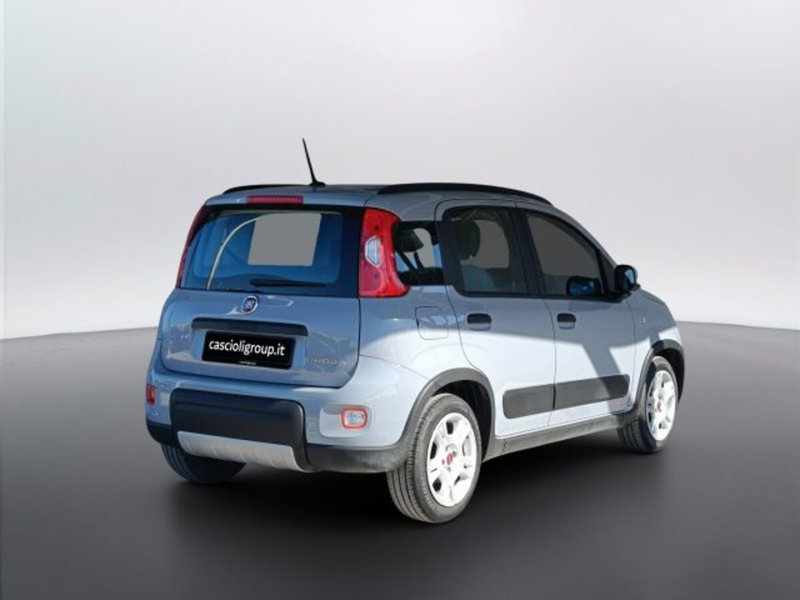 Fiat Panda usata a Teramo (4)