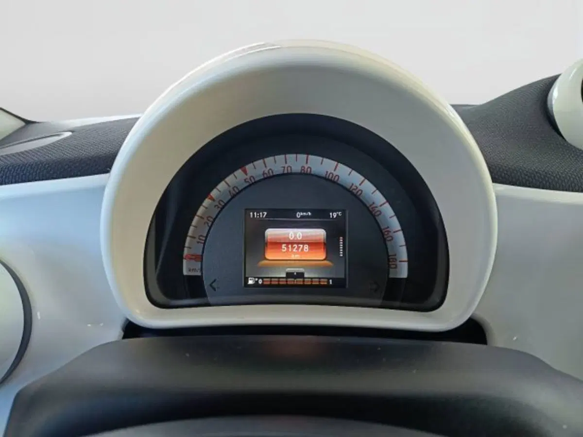 smart forfour usata a Teramo (12)