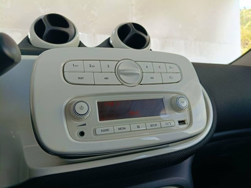 smart forfour usata a Teramo (13)