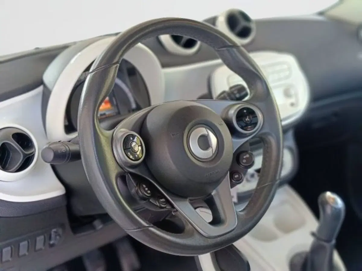 smart forfour usata a Teramo (17)