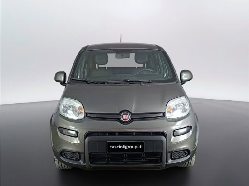 Fiat Panda usata a Teramo (2)