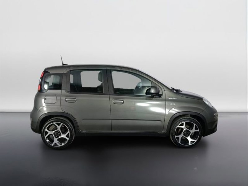 Fiat Panda usata a Teramo (3)