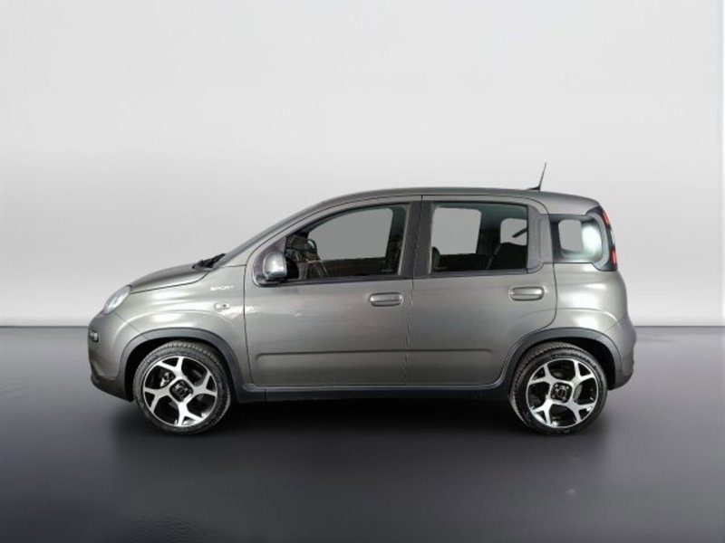 Fiat Panda usata a Teramo (6)