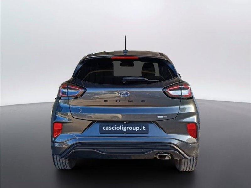 Ford Puma usata a Teramo (5)