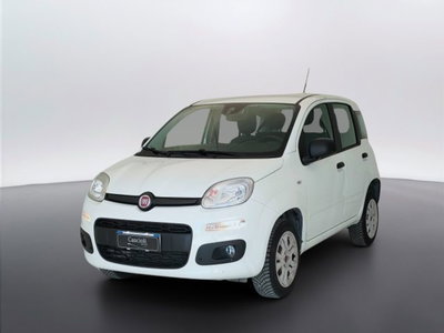 Fiat Panda 0.9 TwinAir Turbo Natural Power Easy del 2018 usata a Mosciano Sant'Angelo