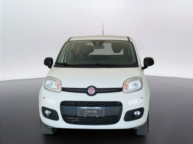 Fiat Panda usata a Teramo (2)