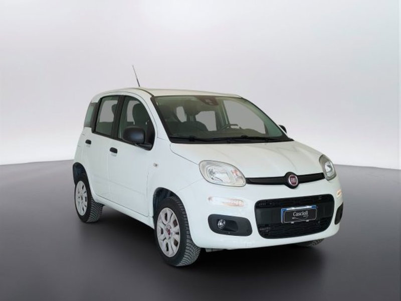 Fiat Panda usata a Teramo (3)