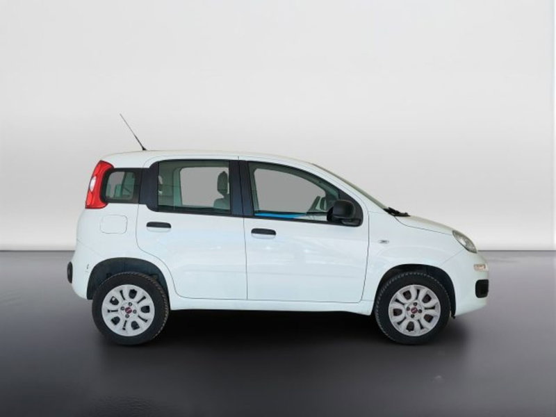 Fiat Panda usata a Teramo (4)