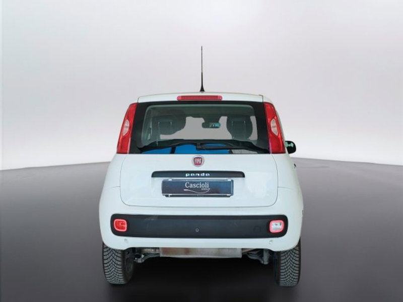 Fiat Panda usata a Teramo (6)