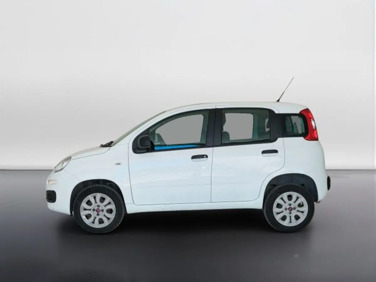 Fiat Panda usata a Teramo (8)