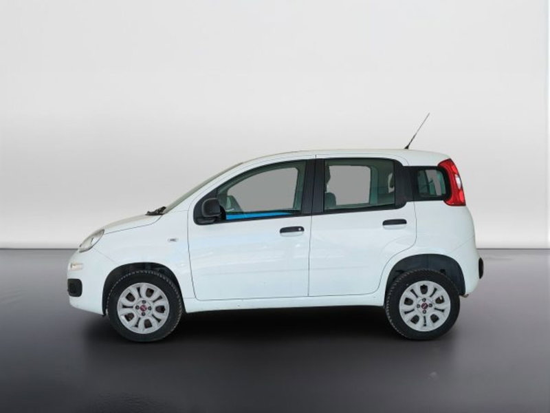 Fiat Panda usata a Teramo (8)