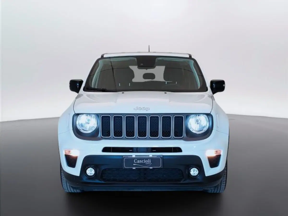 Jeep Renegade usata a Teramo (2)