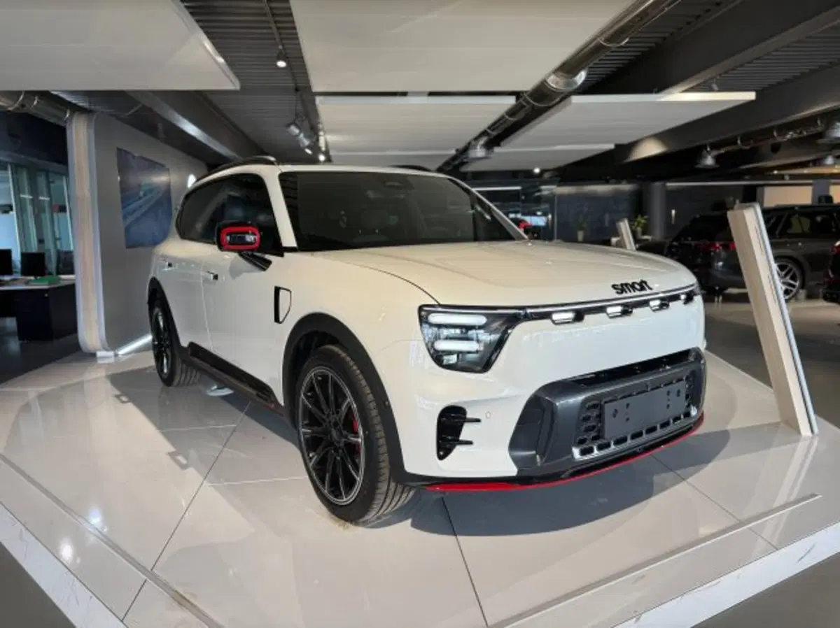 smart #1 nuova a Teramo (4)