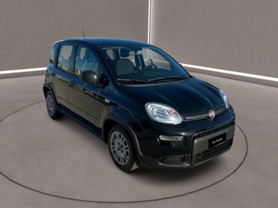 Fiat Panda Cross Cross 1.0 FireFly S&amp;S Hybrid del 2023 usata a Caltanissetta