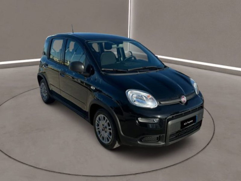 Fiat Panda Cross usata a Caltanissetta