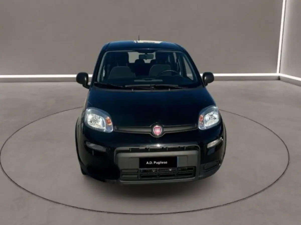 Fiat Panda Cross usata a Caltanissetta (2)