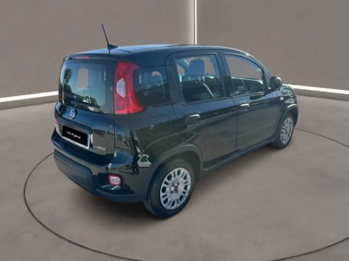 Fiat Panda Cross usata a Caltanissetta (6)