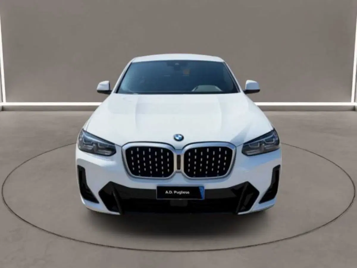 BMW X4 usata a Caltanissetta (2)