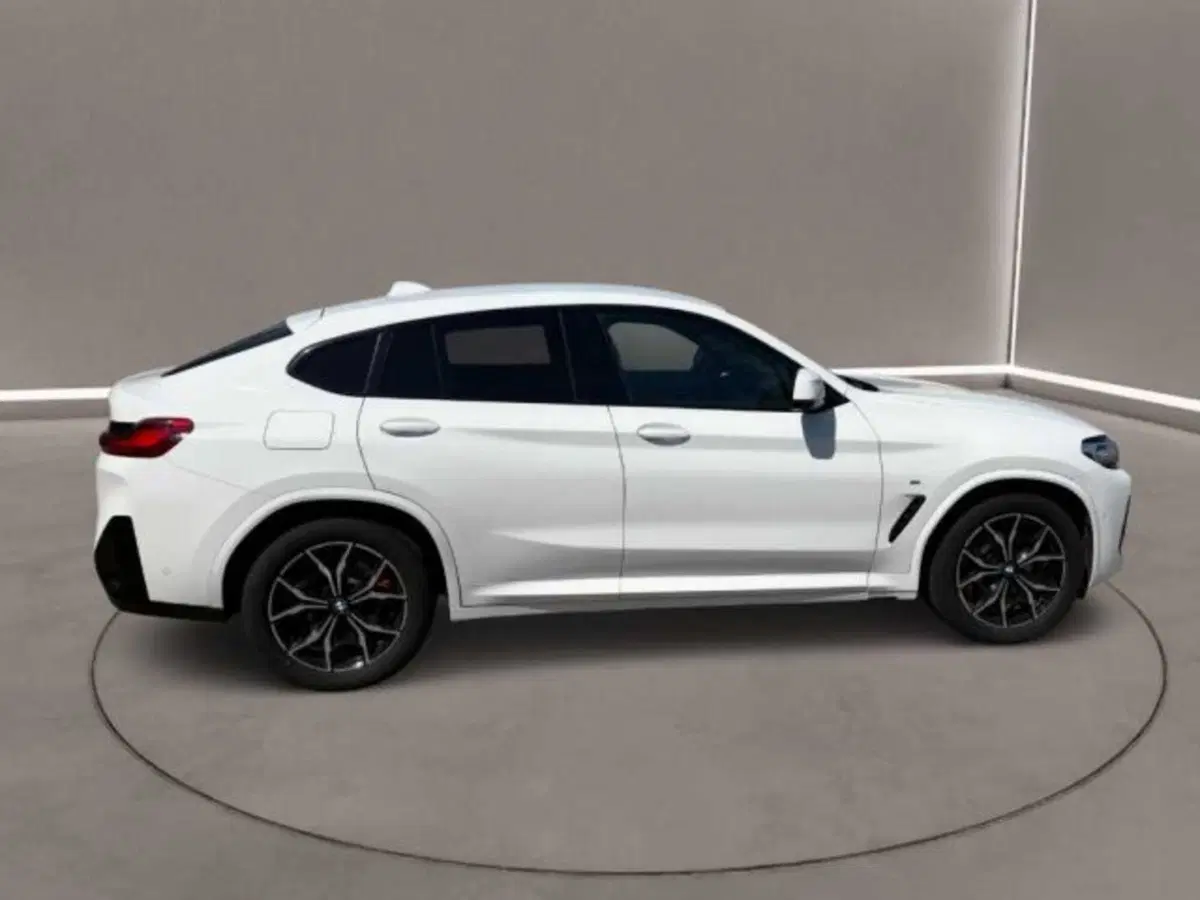 BMW X4 usata a Caltanissetta (4)