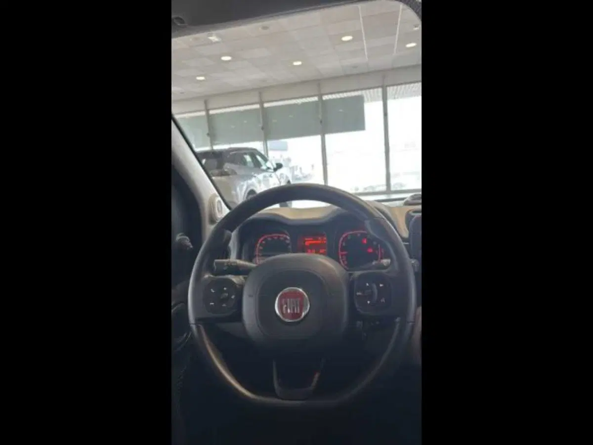Fiat Panda Cross usata a Caltanissetta (12)