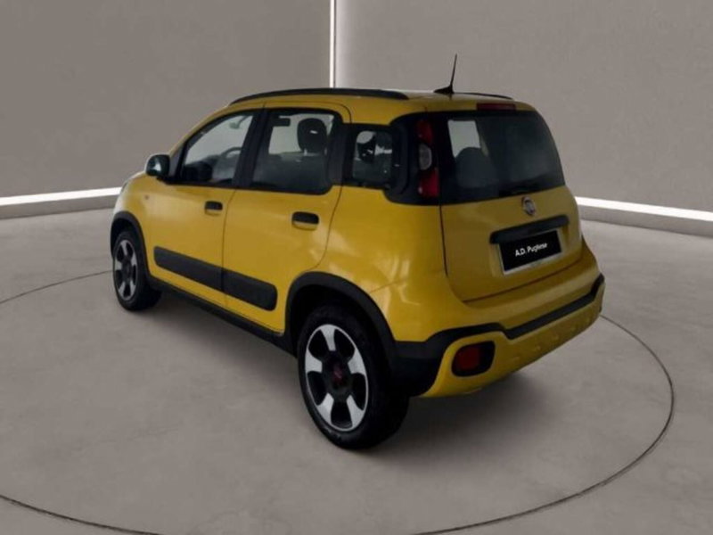 Fiat Panda Cross usata a Caltanissetta (2)