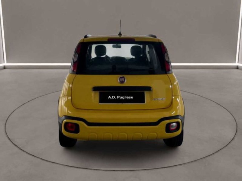 Fiat Panda Cross usata a Caltanissetta (3)