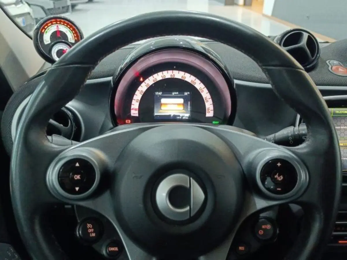 smart forfour usata a Catania (18)