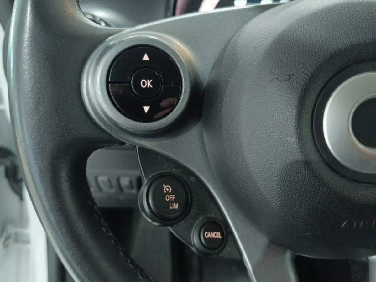 smart forfour usata a Catania (20)
