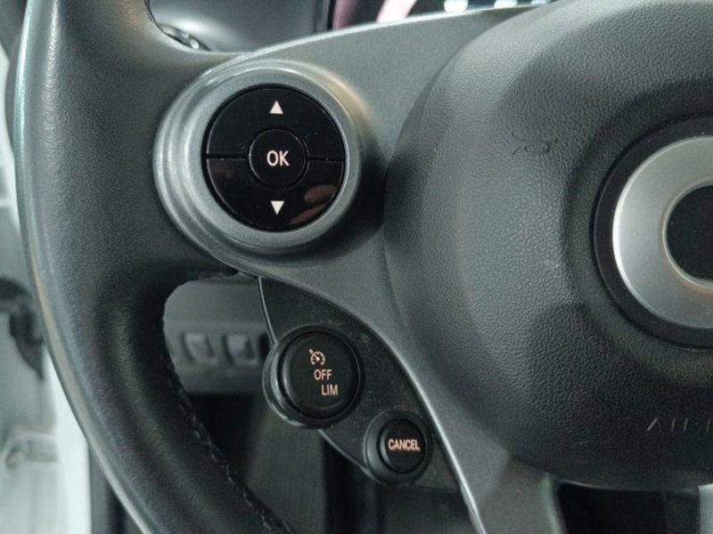 smart forfour usata a Catania (20)