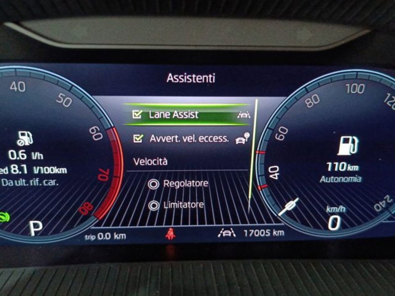 Skoda Kamiq usata a Catania (17)