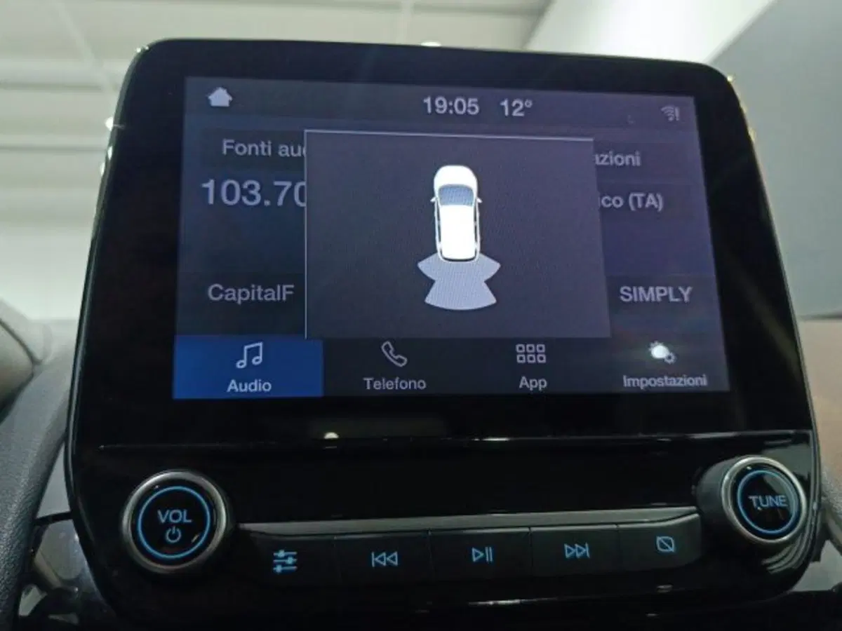 Ford EcoSport usata a Catania (16)