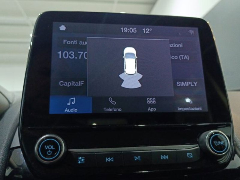 Ford EcoSport usata a Catania (16)