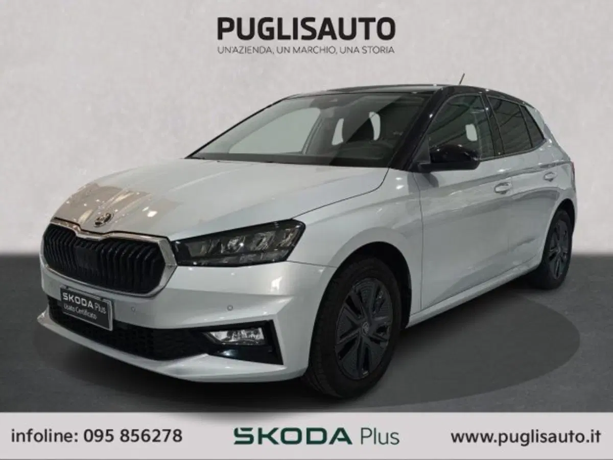 Skoda Fabia usata a Catania (3)