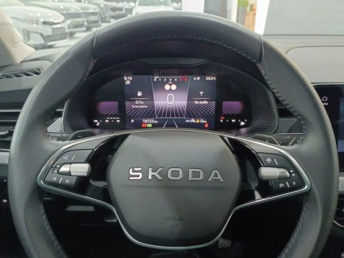 Skoda Kamiq usata a Catania (18)